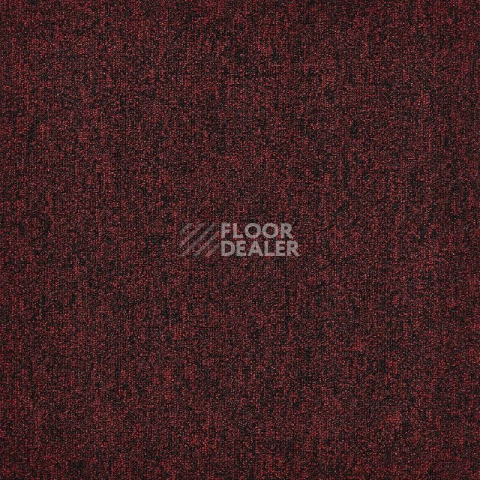 Ковровая плитка Modulyss 24 First Forward First Forward 353 фото 1 | FLOORDEALER